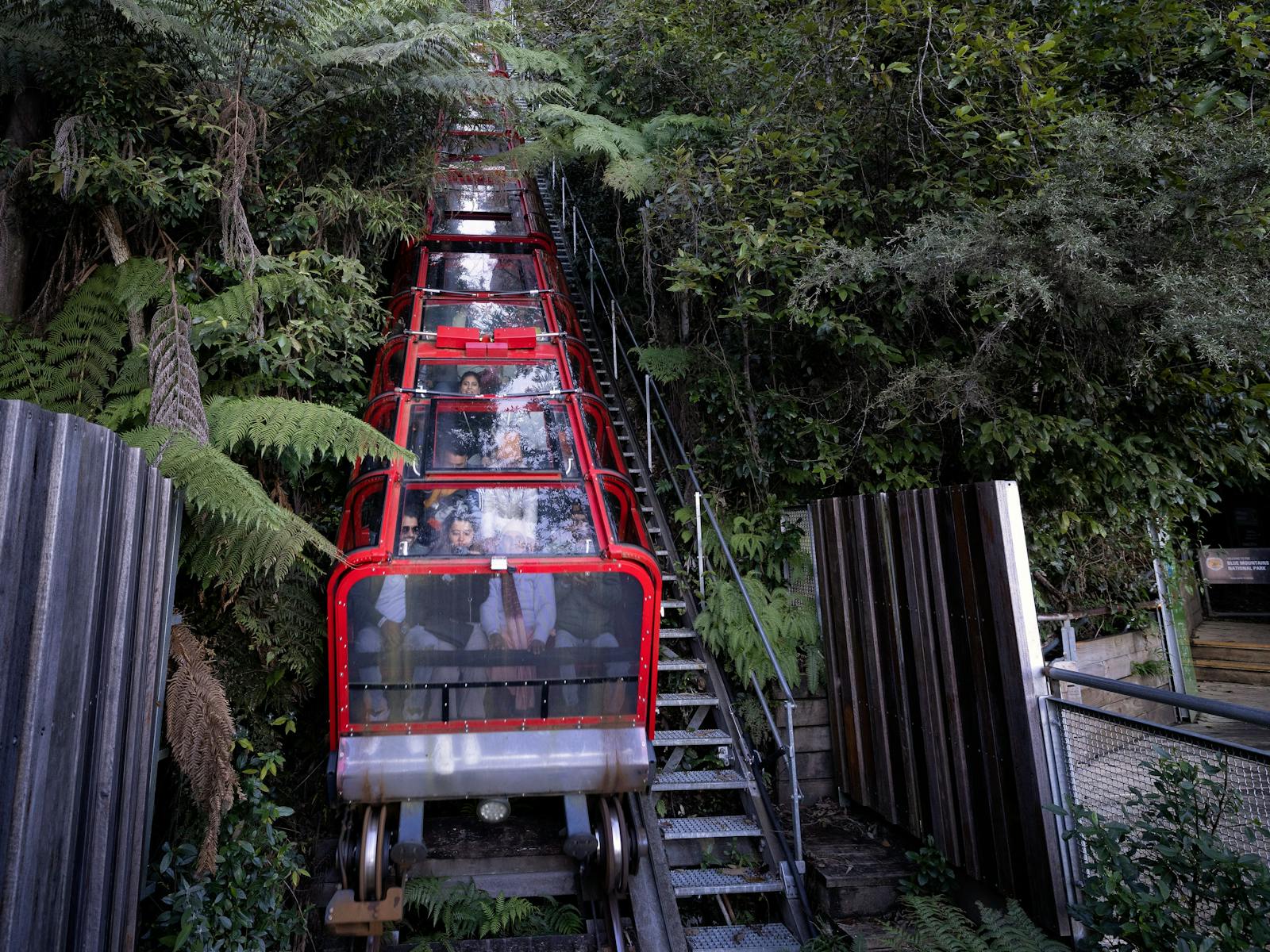 BLUE MOUNTAIN EXPERIENCE – AN UNESCO WORLD HERITAGE SITE