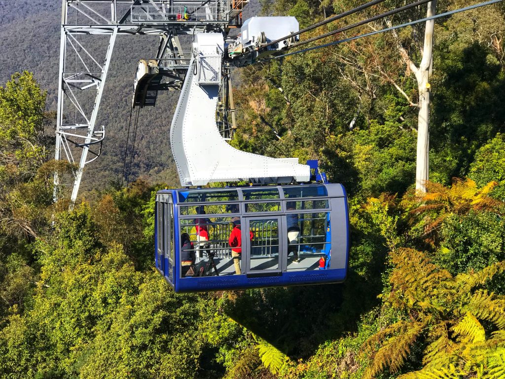 Full Day Blue Mountains Tour + Harbour Cruise