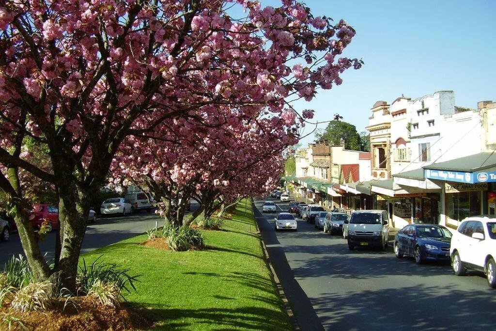Blue Mountains Experience Tour in Mandarin