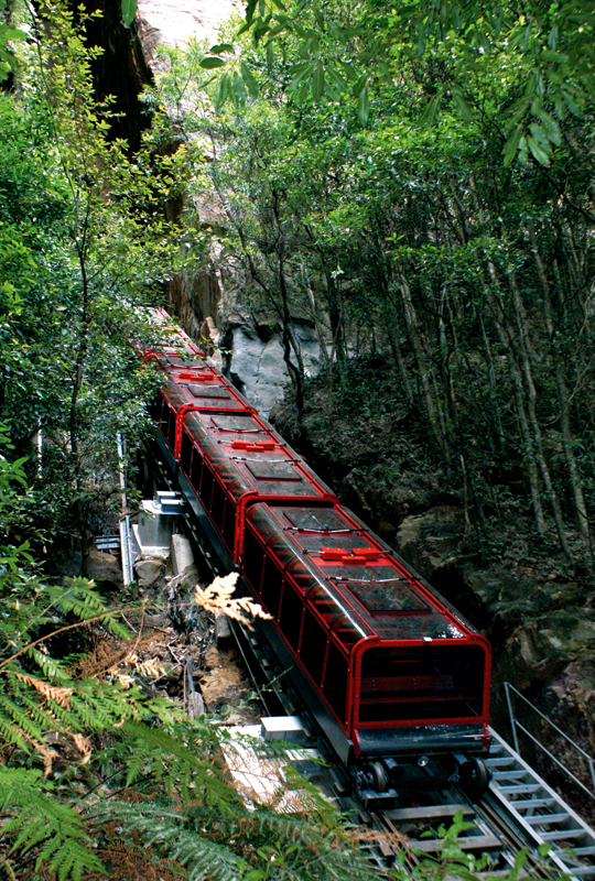 Full Day Blue Mountains Tour + Harbour Cruise