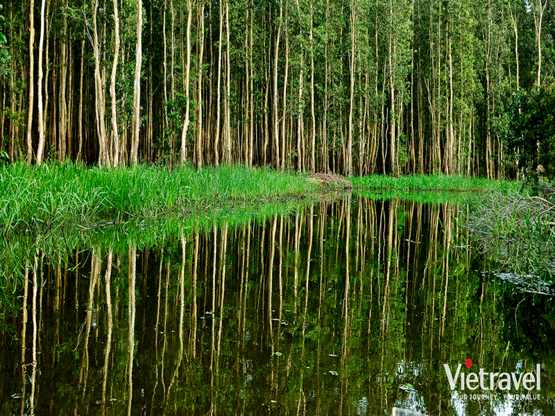 Mekong Delta: Dong Thap – Tram Chim – My Phuoc Thanh Eco-Tourism Area – Xeo Quit Relic Site – A Green Dream in the Land of Pink Lotus