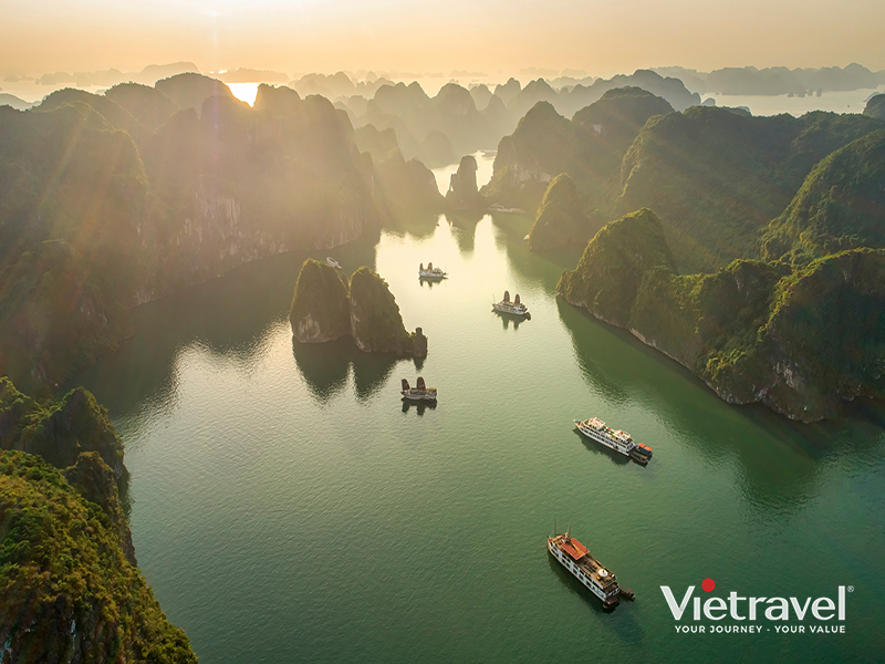 Van Don – Ninh Binh – Tam Coc – Bich Dong – Thai Vi Temple – Ha Long | Premium Dolphin Cruise