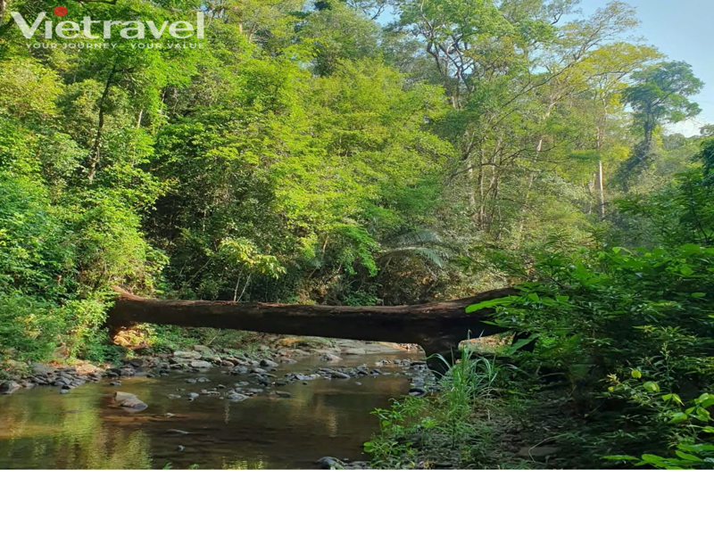 Bu Gia Map Trekking – A Small Path into the Wild