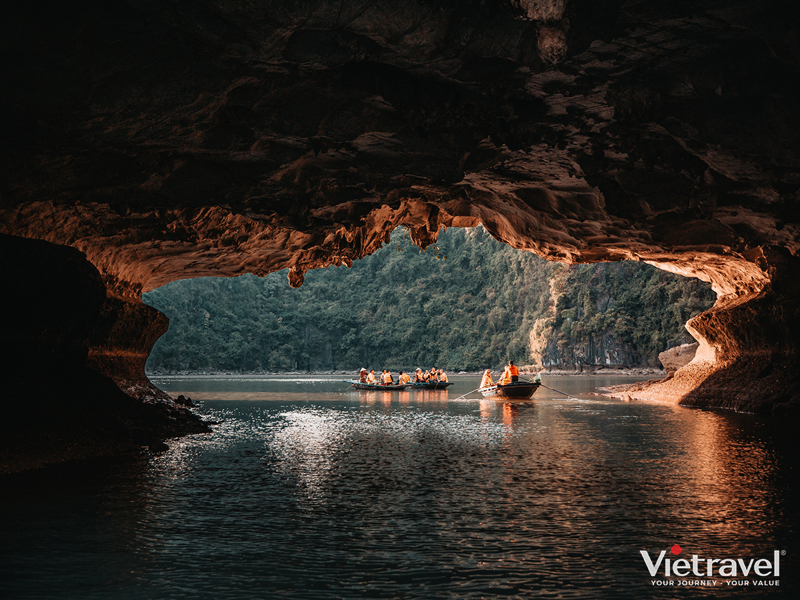 Van Don – Ninh Binh – Tam Coc – Bich Dong – Thai Vi Temple – Ha Long | Premium Dolphin Cruise