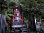 BLUE MOUNTAIN EXPERIENCE – AN UNESCO WORLD HERITAGE SITE