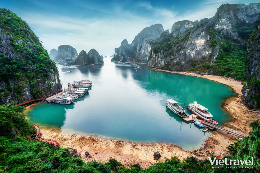 Ha Noi – Bai Dinh – Trang An – Ha Long – Yen Tu: Vietnam Under the Wings of Birds