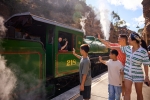 Blue Mountains & Zig Zag Railway Tour