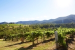 Hunter Valley Day Tour from Sydney