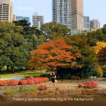 Where are the best places to see autumn leaves in Australia?