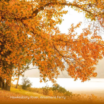 Where are the best places to see autumn leaves in Australia?