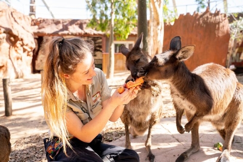 Australian Wildlife & Blue Mountains Gateway