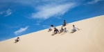 Port Stephens Day Tour