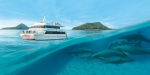 Port Stephens Day Tour