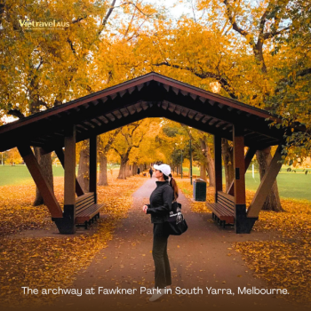 Where are the best places to see autumn leaves in Australia?