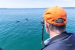 Jervis Bay Day Tour