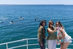 Jervis Bay Day Tour