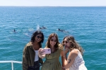 Jervis Bay Day Tour