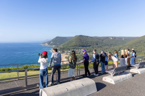 Jervis Bay Day Tour