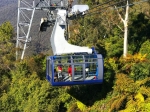 Blue Mountains Experience Tour in Mandarin