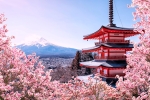 JAPAN IN AUTUMN  - Slow Travel Through Japan [8D7N]