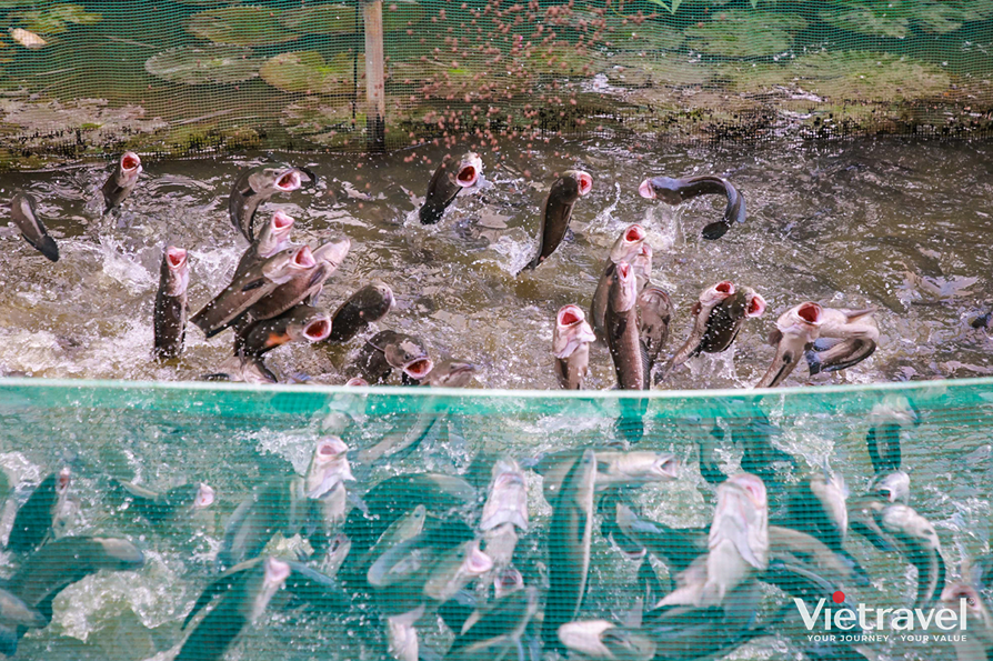 Mekong Delta: My Tho – Thoi Son – Ben Tre – Can Tho – Cai Rang Floating Market – My Khanh