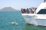 Port Stephens Experience Tour in Mandarin