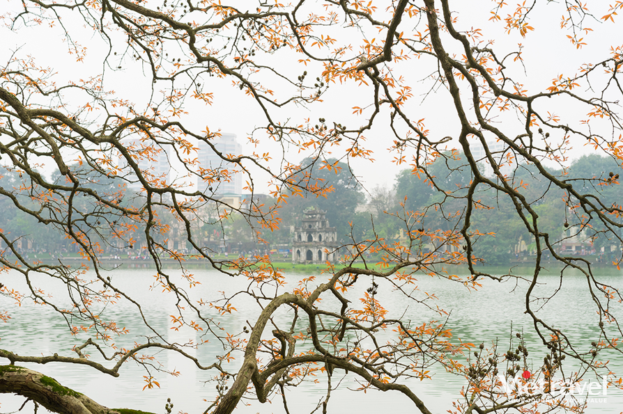 Ha Noi – Five City Gates Heritage Train – Ha Long – Ninh Binh – Bai Dinh – Tam Coc