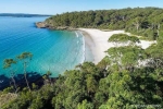 Jervis Bay Day Tour