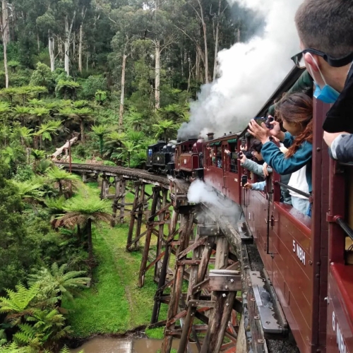 PUFFING BILLY STEAM TRAIN TOUR – MELBOURNE HERITAGE EXPERIENCE