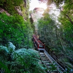 Blue Mountains Experience Tour in Mandarin
