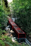 Full Day Blue Mountains Tour + Harbour Cruise