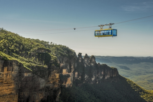 Blue Mountains Experience in Japanese