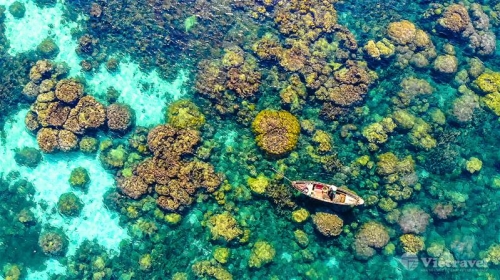 Blue Sea of Nam Du – Fishing – Snorkelling to See Coral (Includes 01 Seafood BBQ Party)
