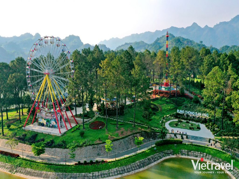 Moc Chau: Tea Hills – Persimmon Garden – Ban Ang Pine Forest – Dairy Farm