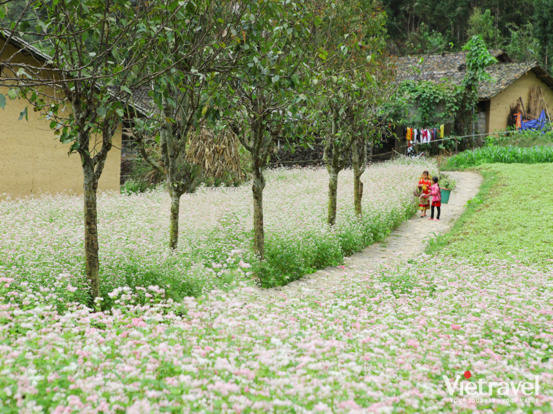 Northeast – Echoes of the Stone Land: Ha Giang – Then Pa Village – 5-Star Resort & Tay Wedding Experience – Free Nho Que River Cruise