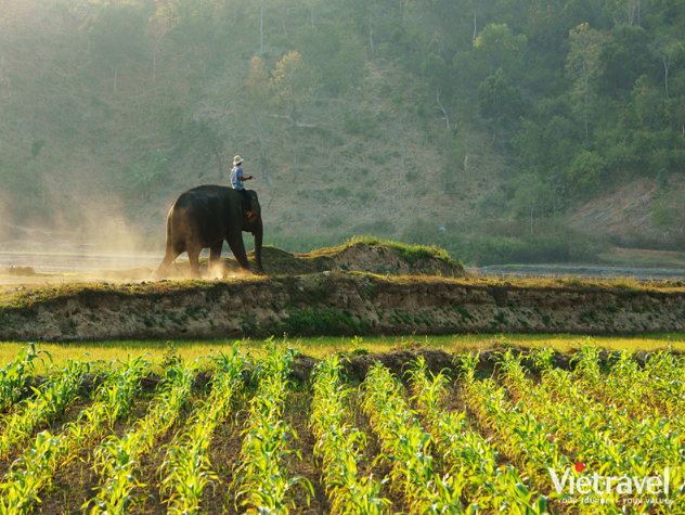 Discover the Central Highlands Forests - Blue Sea of Phu Yen | Central Route: Ha Noi - Buon Ma Thuot - Tuy Hoa