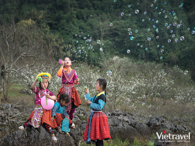 Golden Autumn of Northwest Vietnam: Nghia Lo – Tu Le – Mu Cang Chai – Sapa – Fansipan – Dien Bien – Moc Chau Island | Free Muong Hoa Train Ticket