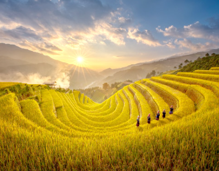 Yen Bai – Mu Cang Chai – Nghia Lo – Tan Son – Mam Xoi Hill