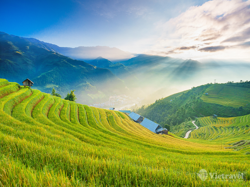 Yen Bai – Mu Cang Chai – Nghia Lo – Tan Son – Mam Xoi Hill