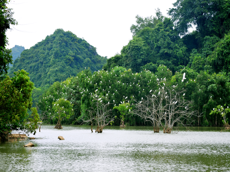 Ha Noi – Sapa – Fansipan – Cat Cat Village – Ninh Binh – Thung Nham – Tuyet Tinh Coc