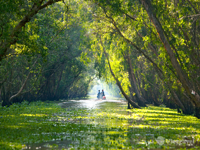 Caravan Exploring An Giang – The Legendary Land of That Son: Cloud Hunting at Nui Cam Mountain