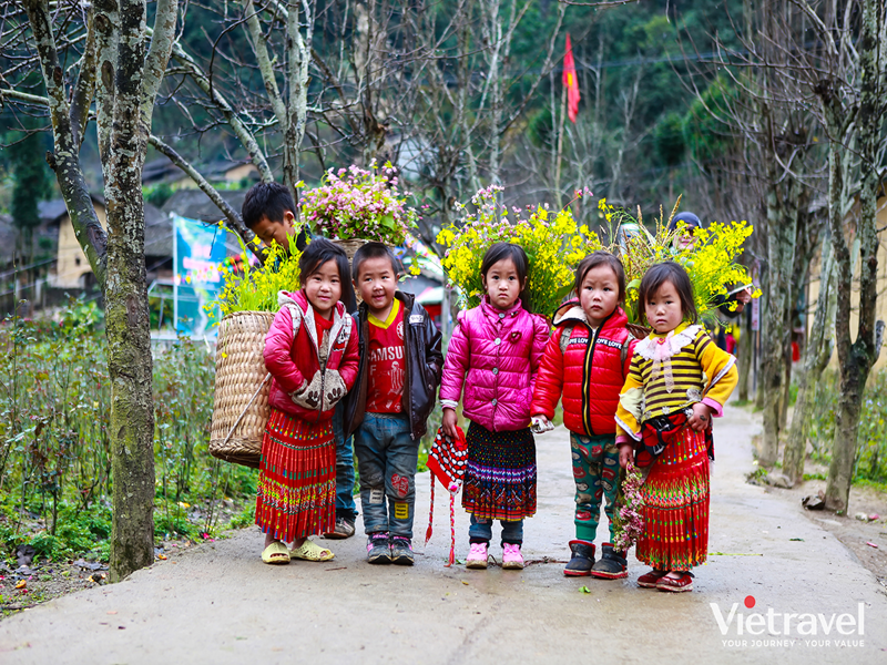 Sapa – Fansipan – Ha Noi – Yen Tu – Ha Long – Ninh Binh – Trang An – Bai Dinh | Free Muong Hoa Mountain Train Ticket