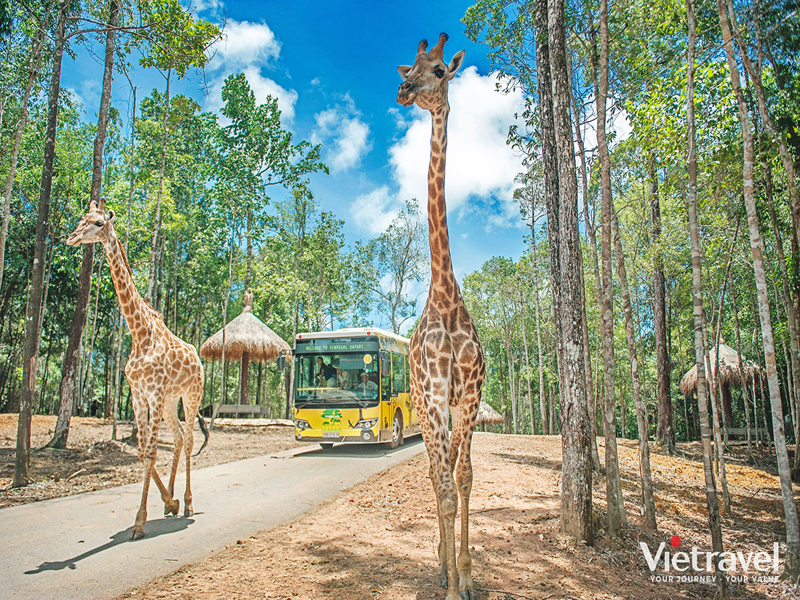 Phu Quoc: Bai Sao – Hon Thom – VinWonders – Safari – Sunset Town – Grand World