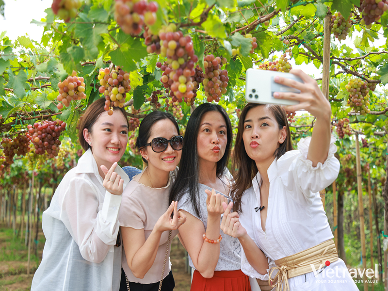 Ninh Chu – Hang Rai – Vinh Hy Bay – Vineyard – Glass-Bottom Boat Experience