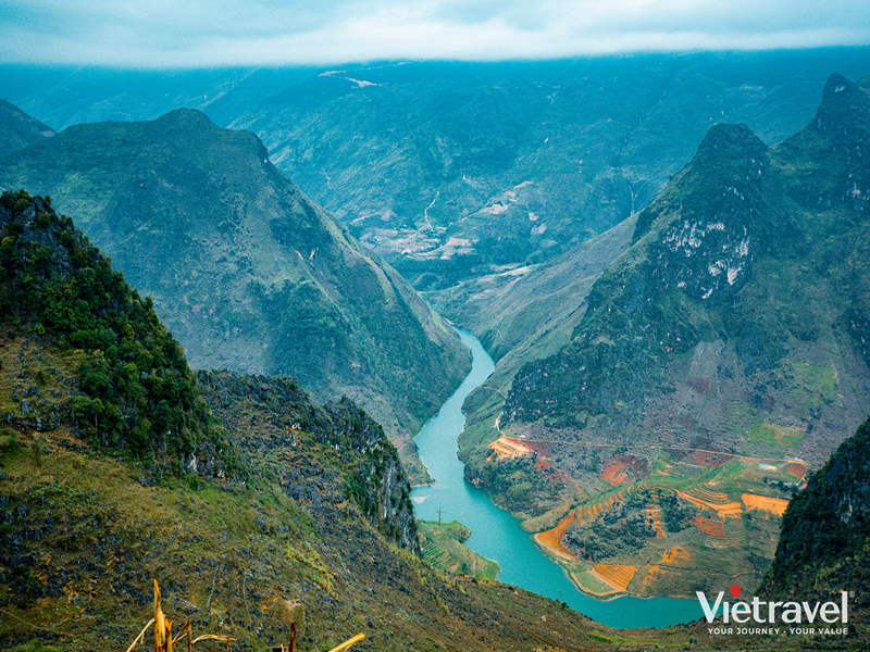Ha Giang – Lung Cu – Dong Van: Spring Flowers of the Northeast