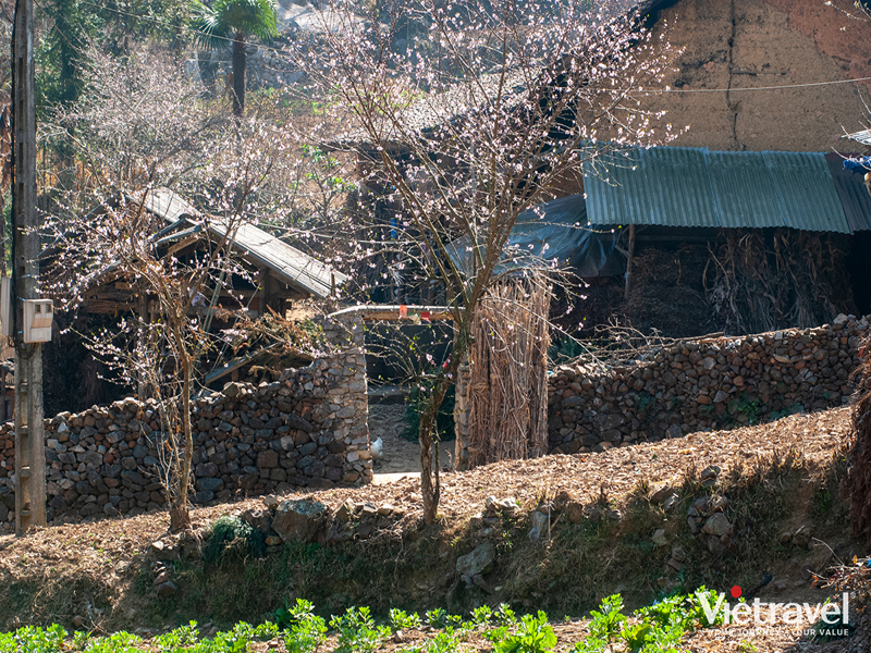 Ha Giang – Lung Cu – Dong Van