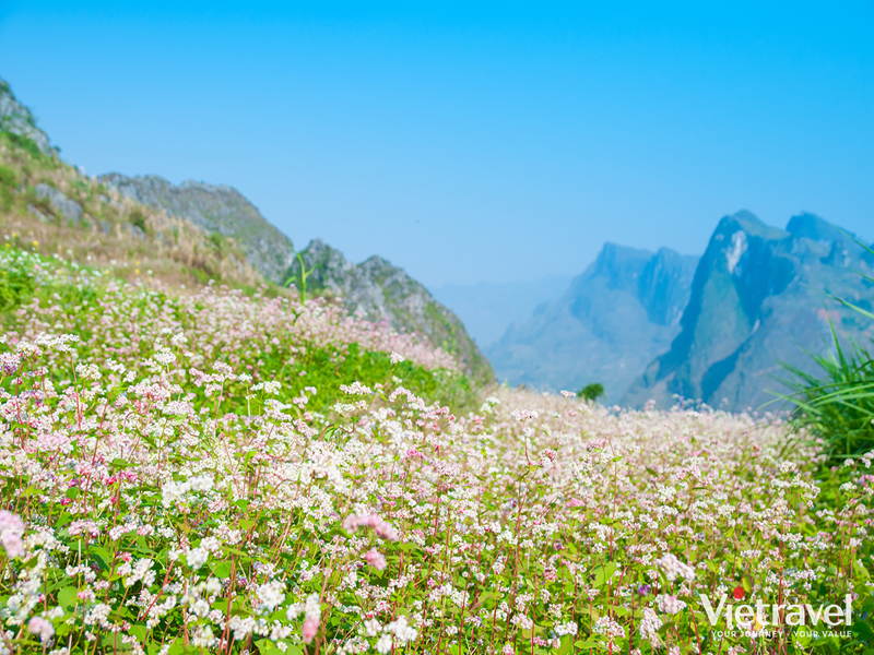 Ha Giang – Dong Van – Ma Pi Leng – Meo Vac – Cao Bang – Ban Gioc Waterfall – Ba Be Lake – Ha Noi