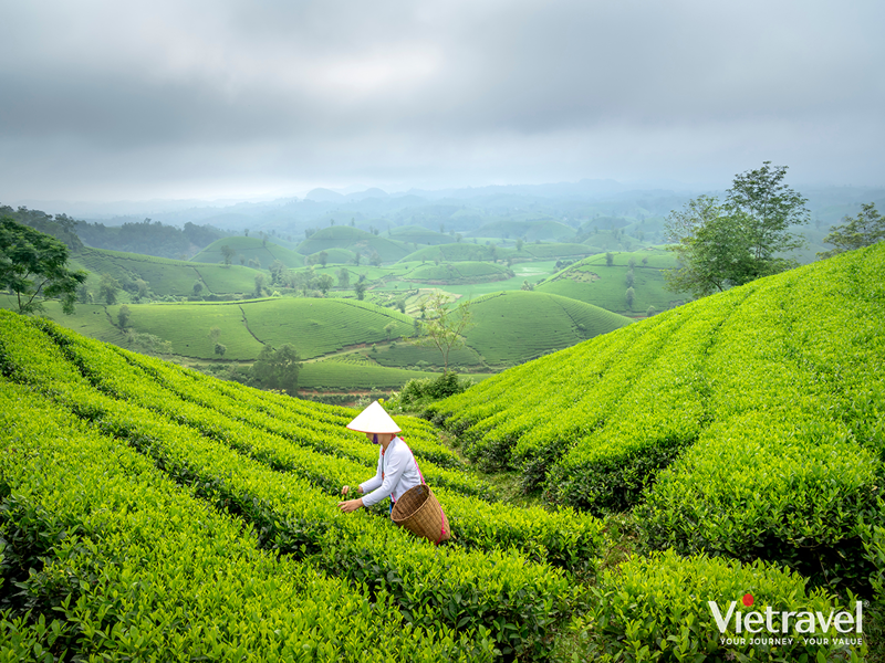 Flavours of the Past: Ancient Villages of the Old North – Ha Noi – Hung Lo – Thanh Thuy – Duong Lam