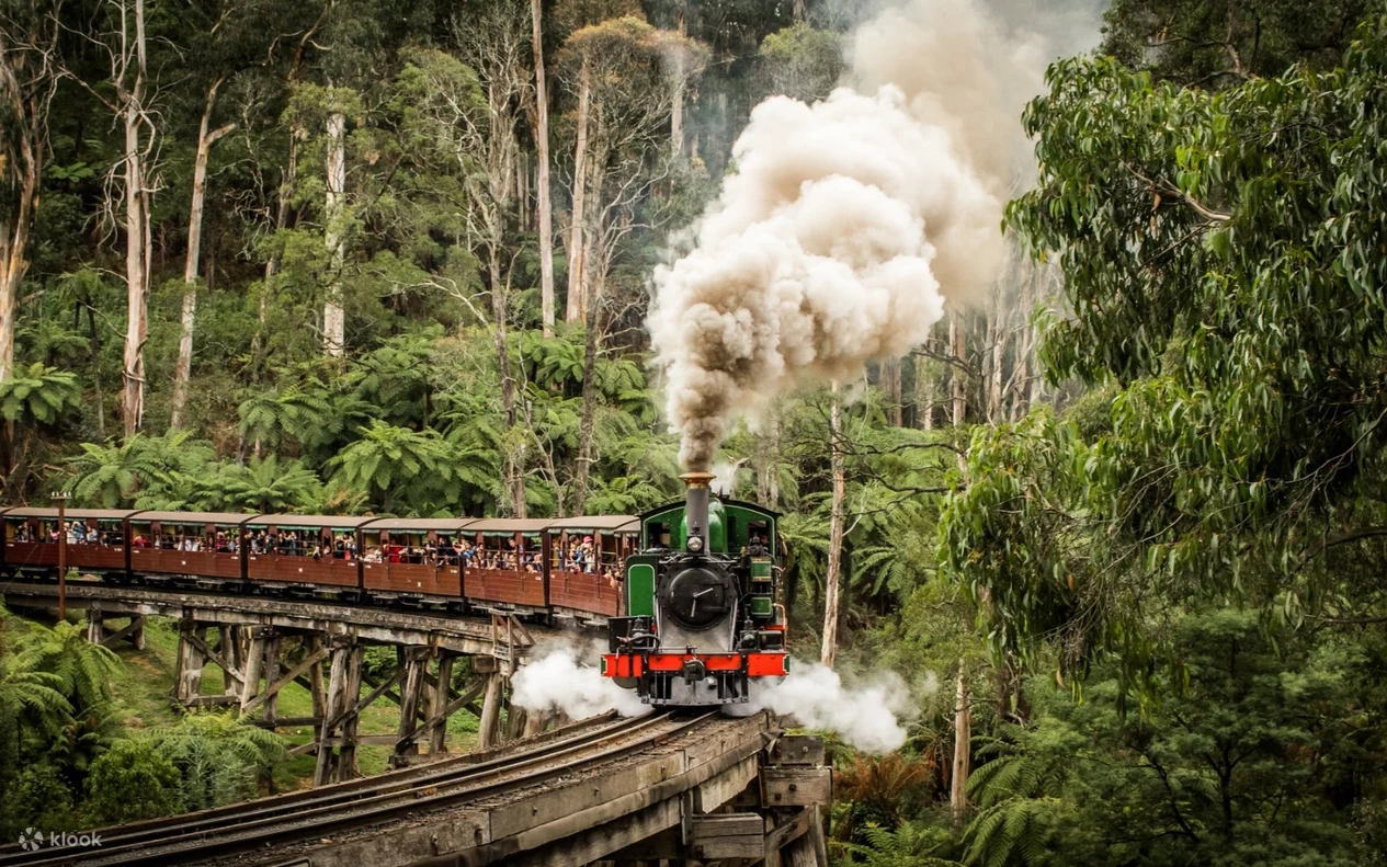 PUFFING BILLY STEAM TRAIN TOUR – MELBOURNE HERITAGE EXPERIENCE