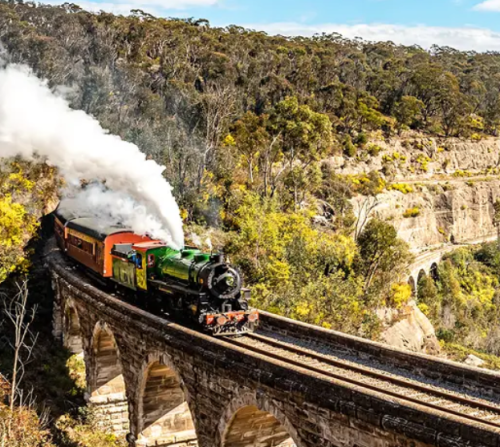 Blue Mountains & Zig Zag Railway Tour